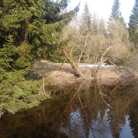 Near Slopes, Cleaning Included Abertamy